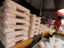 Potensi Tempe dalam Pembangunan Ekonomi Indonesia