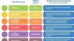 Memahami Indeks Kualitas Udara (AQI) dan Pentingnya untuk Kesehatan