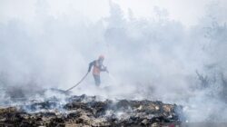 Perlindungan Satwa di Tengah Kebakaran Hutan dan Lahan Perlindungan Satwa di Tengah Kebakaran Hutan dan Lahan