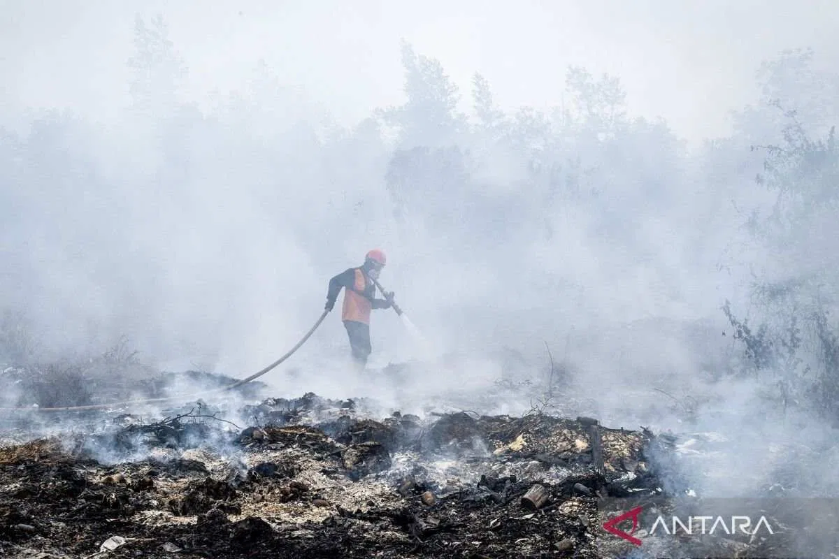 Perlindungan Satwa di Tengah Kebakaran Hutan dan Lahan Perlindungan Satwa di Tengah Kebakaran Hutan dan Lahan