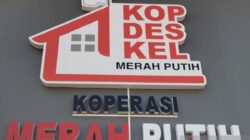 Pentingnya Praktik Langsung dalam Pendidikan Koperasi Pentingnya Praktik Langsung dalam Pendidikan Koperasi