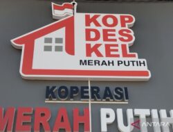 Pentingnya Praktik Langsung dalam Pendidikan Koperasi