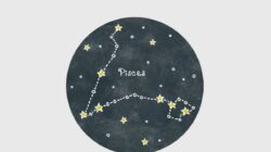 Peluang Karier Zodiak Pisces Pada 3 September 2026