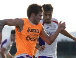 Fiorentina vs Torino: Pertarungan Panas di Stadio Franchi
