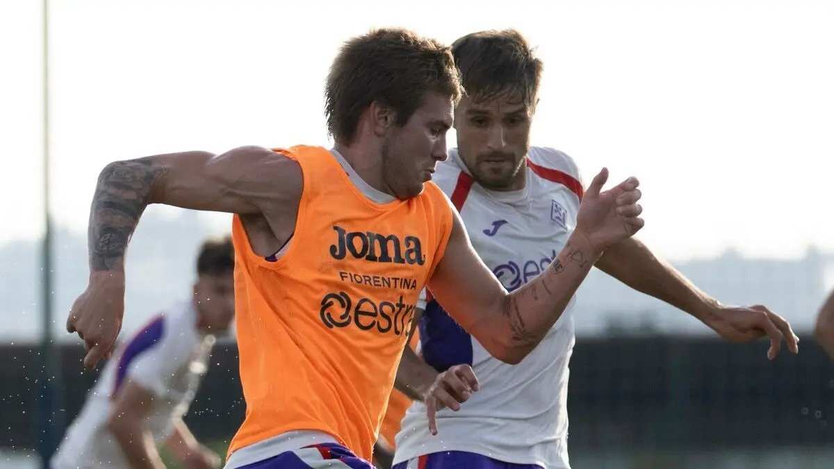 Fiorentina vs Torino: Pertarungan Panas di Stadio Franchi