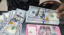 Peningkatan Minat Terhadap Produk Perlindungan Berbasis Dolar AS
