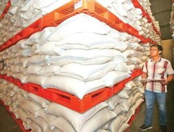 Keamanan Produksi Pangan Nasional di Tengah El Niño