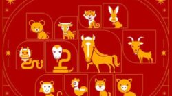 Tiga Shio Yang Berpotensi Mendapatkan Rezeki Melimpah