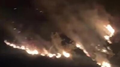 Kebakaran di Kebun Kina Bukit Unggul: Apa yang Terjadi?