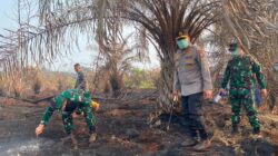 Peningkatan Pencegahan Karhutla di Riau Setelah Kebakaran 5.865 Hektare