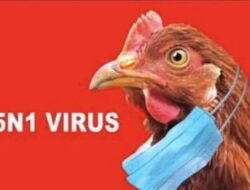 Status Darurat Kesehatan Ditetapkan Uruguay Terkait Flu Burung