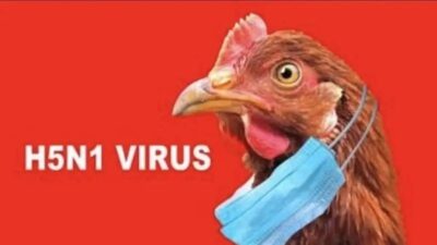 Status Darurat Kesehatan Ditetapkan Uruguay Terkait Flu Burung