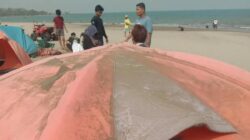 Informasi Terbaru tentang Erupsi Gunung Anak Krakatau