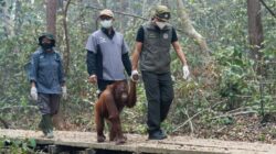 Dampak Anggaran Kemanusiaan yang Menurun di Indonesia