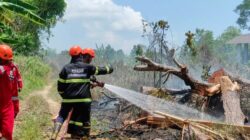 Pencegahan Kebakaran Hutan dan Lahan di Pangkalpinang