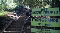 Tragedi Pendaki Gunung Muria: Kehilangan Nyawa di Puncak 29