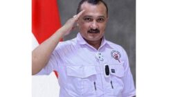 Peran Organisasi Kemasyarakatan Menurut Ferdinand Hutahaean