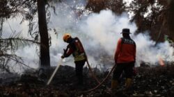 Upaya Pemadaman Kebakaran Hutan dan Lahan di Indonesia