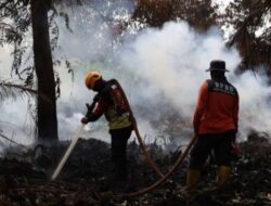 Upaya Pemadaman Kebakaran Hutan dan Lahan di Indonesia