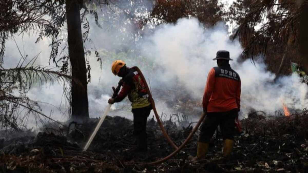 Upaya Pemadaman Kebakaran Hutan dan Lahan di Indonesia