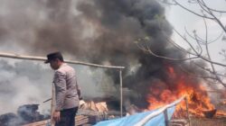 Kebakaran Lahan di Sota: TNI dan Polri Bersama Warga Cegah Api Menyebar