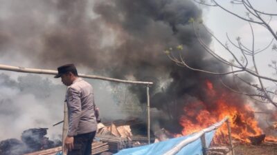 Kebakaran Lahan di Sota: TNI dan Polri Bersama Warga Cegah Api Menyebar