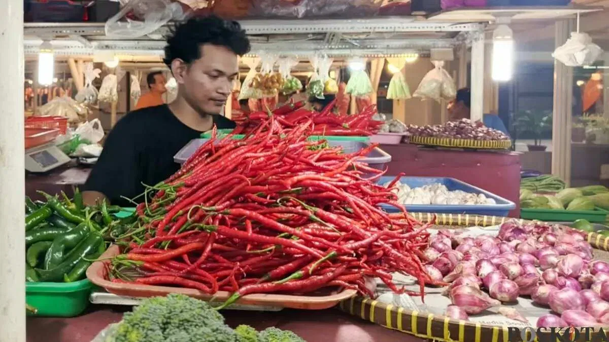 Lonjakan Harga Cabai Rawit dan Dampaknya bagi Konsumen