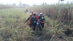 Kebakaran Lahan Tebu di Pakisaji Malang
