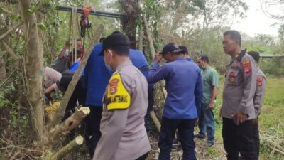 Kisah Menyelamatkan Kerbau dari Sumur Dalam di Serang