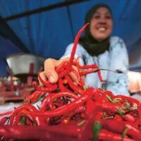 Upaya Pemerintah Menstabilkan Harga Cabai Melalui Distribusi Efektif