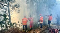 Dampak Angin Kencang dalam Pemadaman Karhutla Bromo