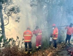 Dampak Angin Kencang dalam Pemadaman Karhutla Bromo