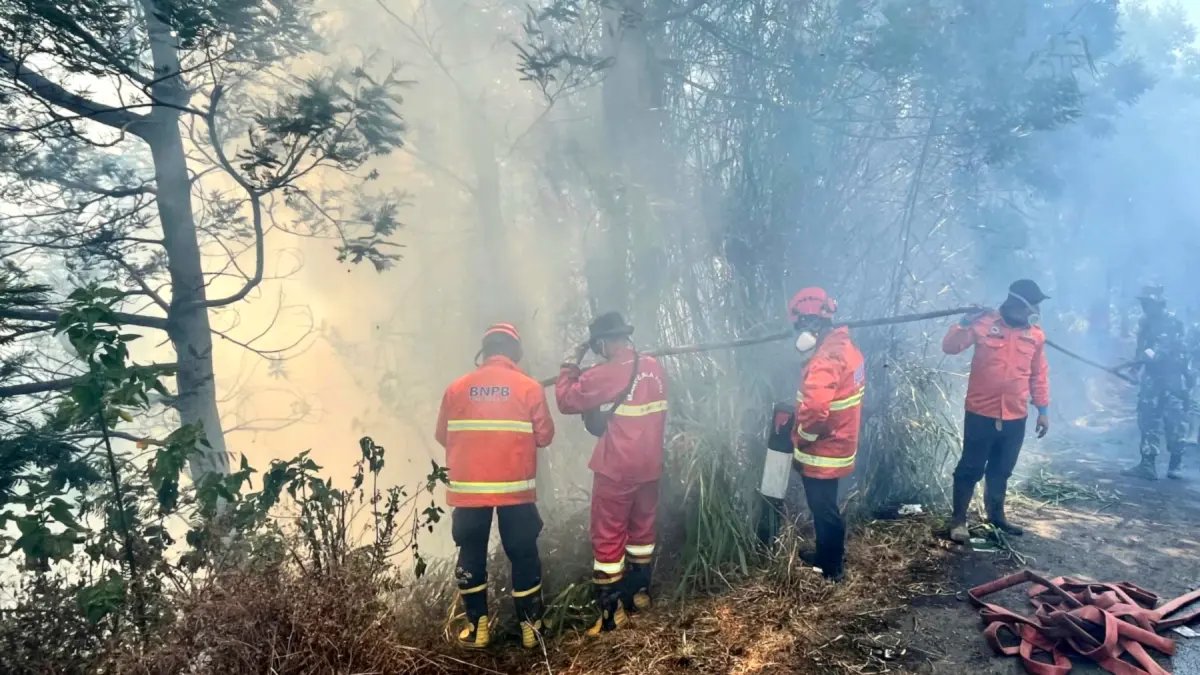 Dampak Angin Kencang dalam Pemadaman Karhutla Bromo