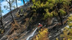 Upaya Pemadaman Kebakaran Hutan di Gunung Bromo