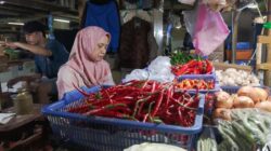 Kenaikan Harga Cabai Rawit Merah: Analisis Dampak Musim Kemarau dan Biaya Distribusi
