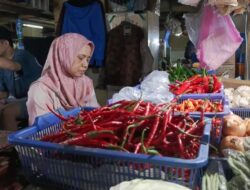 Kenaikan Harga Cabai Rawit Merah di Jakarta: Analisis Penyebab dan Dampaknya