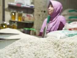 Pemerintah Pastikan Ketersediaan Stok Beras di Tengah Tantangan Musim Kemarau