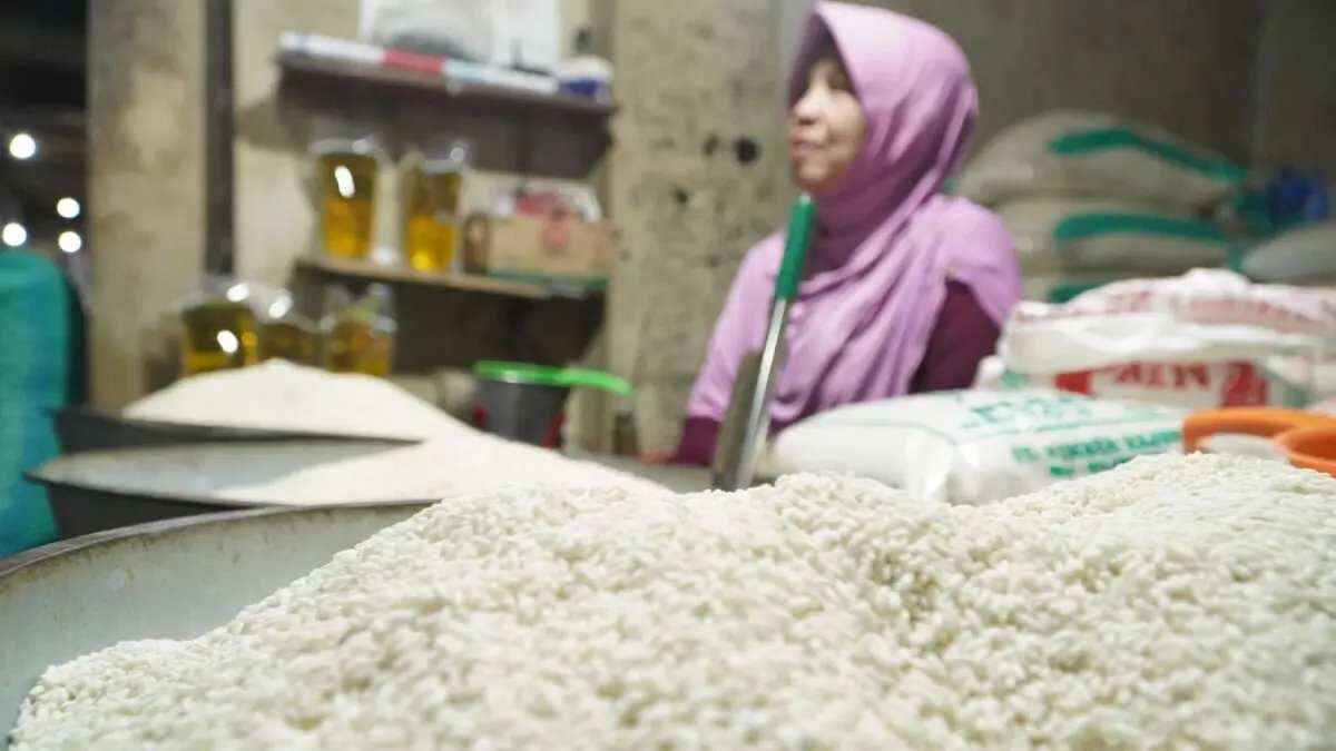 Pemerintah Pastikan Ketersediaan Stok Beras di Tengah Tantangan Musim Kemarau