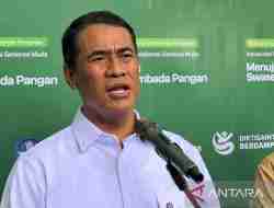 Dampak Negatif dari Pelanggaran pada Merek Beras Fortifikasi di Indonesia