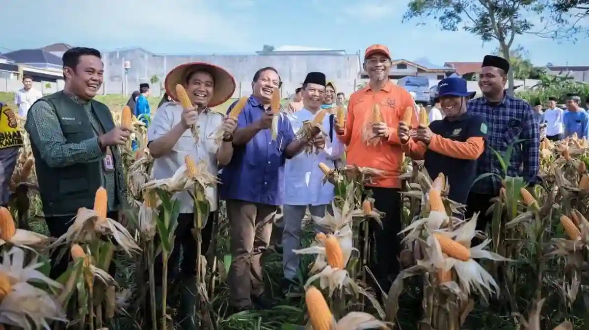 Lahan Pesantren Khairul Ummah 2 Jadi Model Pertanian Produktif di Pekanbaru