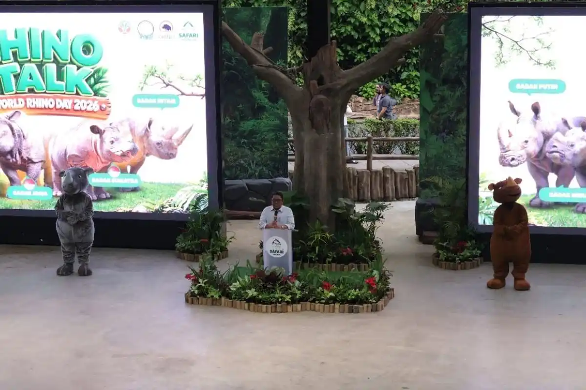 Dua Badak Sumatera Bunting, Harapan Baru Konservasi di Way Kambas