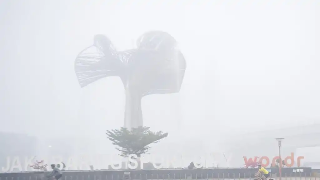 Respons Pemprov Sumsel terhadap Petisi Warga soal Karhutla dan Dampak ISPA