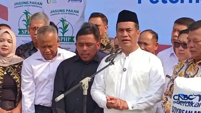 Pemerintah Siapkan Benih Jagung Gratis untuk Lahan 20.000 Hektare hingga Desember