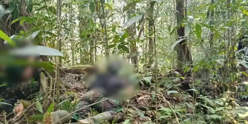 Kontak Tembak di Maybrat Dilaporkan Menewaskan Tiga Anggota OPM