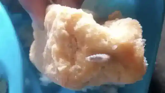 Menu MBG Banyuwangi Temukan Belatung Pada Tahu Goreng