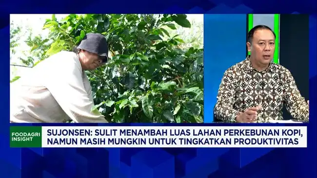 Produktivitas dan Tantangan Pasar Global dalam Mendorong Ekspor Kopi Indonesia