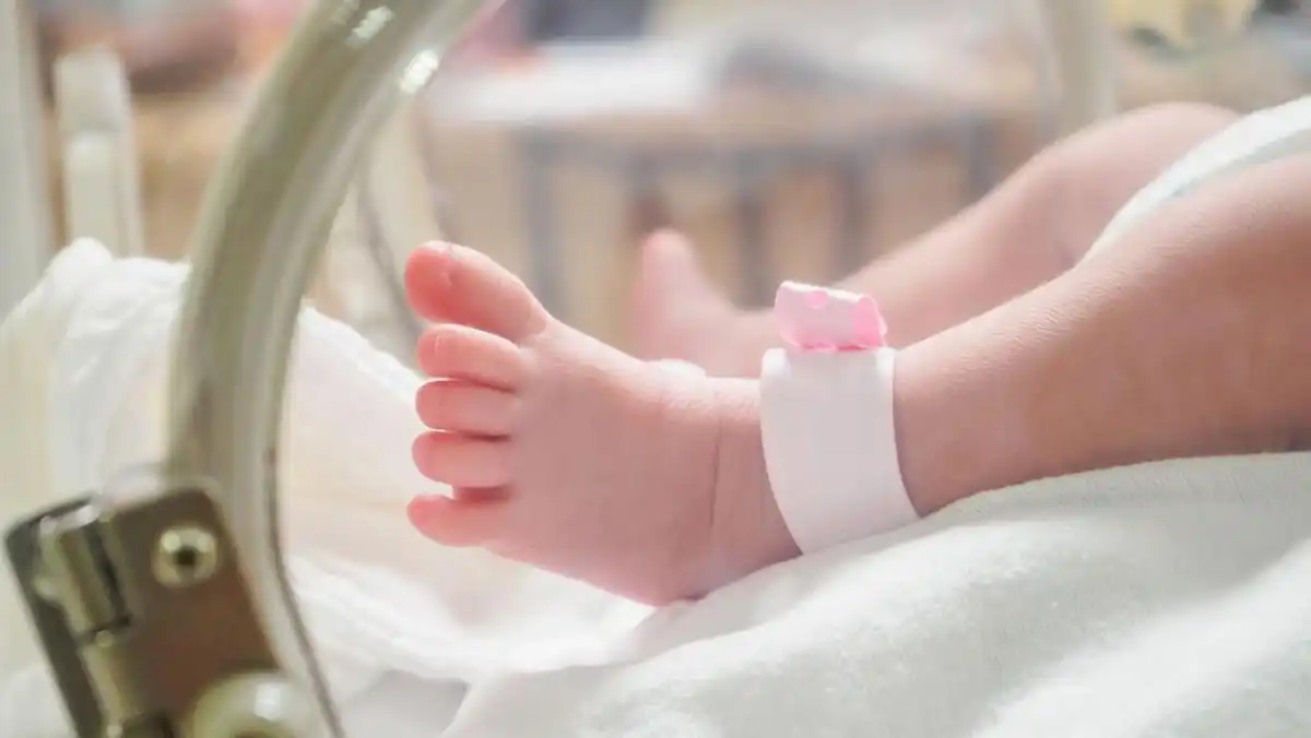 Bayi Alena Meninggal Setelah Perawatan Intensif, Asupan Neonatus Jadi Sorotan