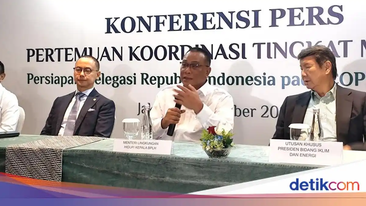 Pemerintah Siapkan Revisi UU PPLH untuk Menutup Celah Pembakaran Lahan