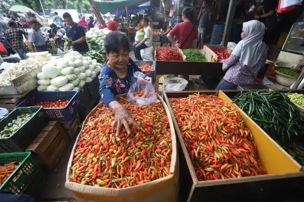 Harga Cabai Naik pada 13 Oktober 2026, Cabai Rawit Merah Capai Rp105.300 per Kilogram