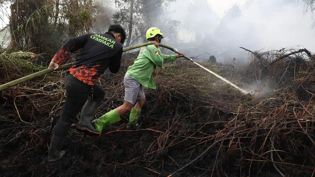 BNPB Catat 639,23 Hektare Karhutla Masih Ditangani di Enam Provinsi